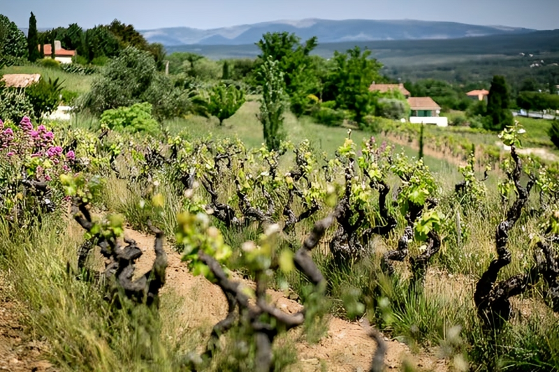 France