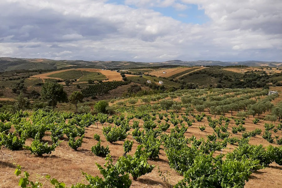 Portugal