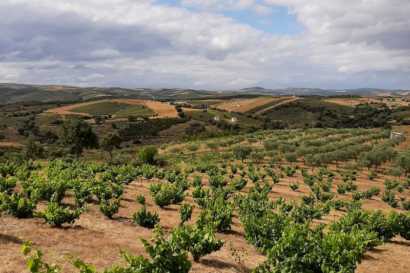 Portugal