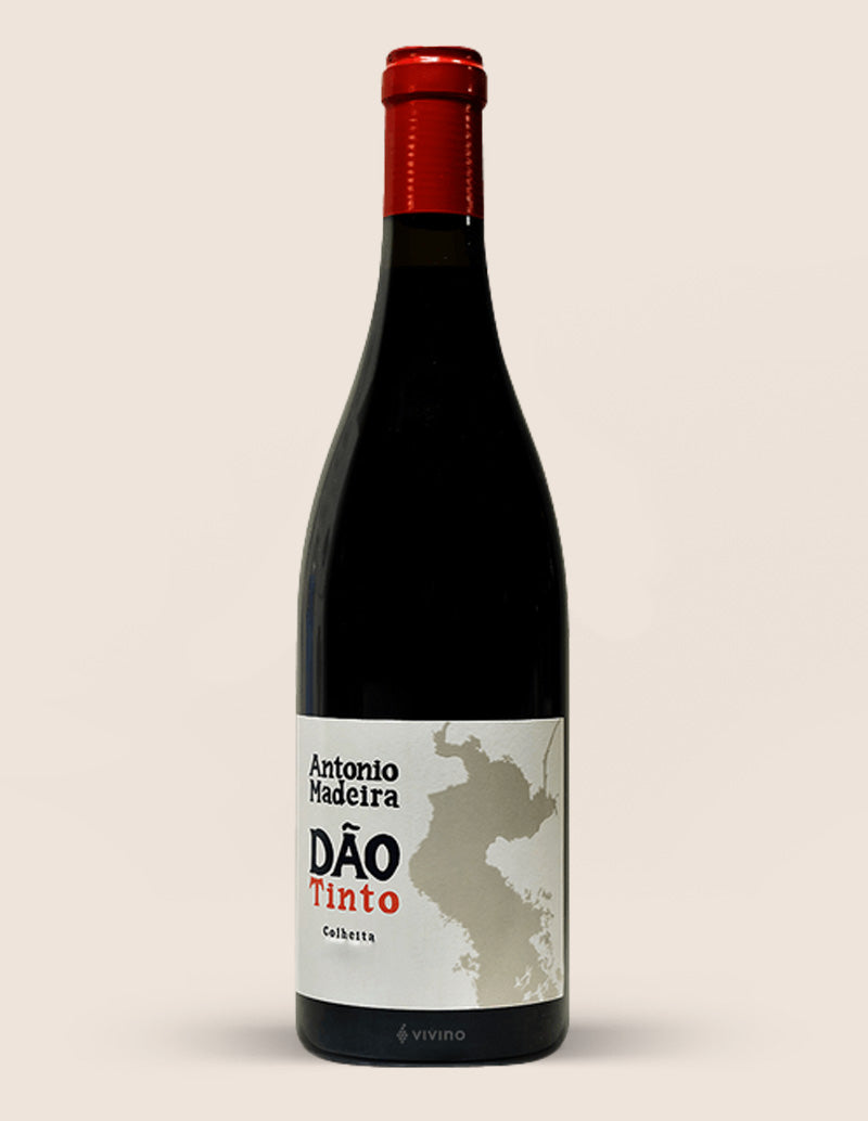 Antonio Madeira Dão Tinto 2020 image 0