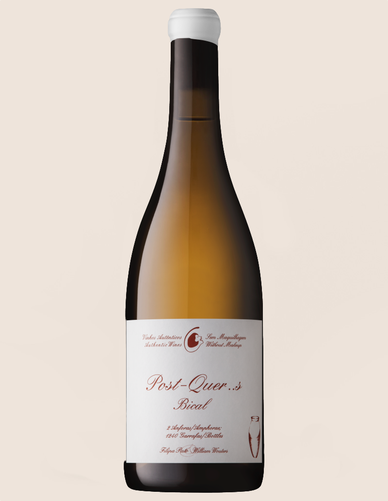 Pato & Wouters Post Quercus (Amphora) Bical Branco 2020 image 0