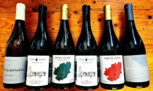 6-Pack of Portuguese Wines