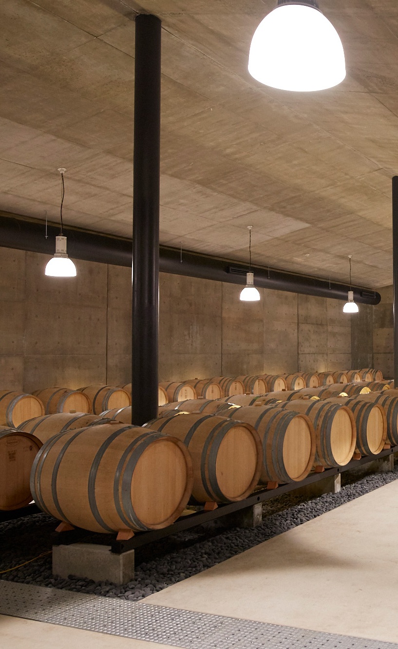 Wine in Storage