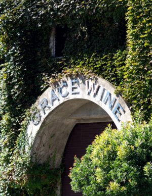 Grace Wine Tasting Selection