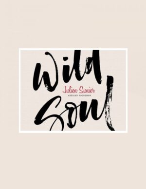 Julien Sunier Wild Soul Beaujolais Village 2018 6-Pack